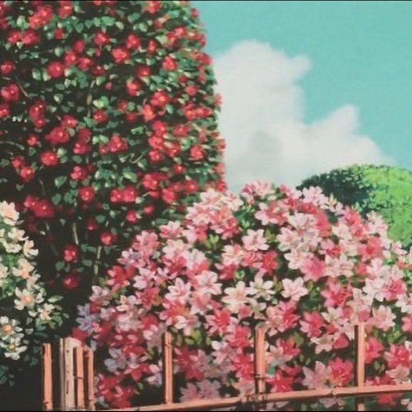 Meet your Posher, Adriana - Picture 1 of 1